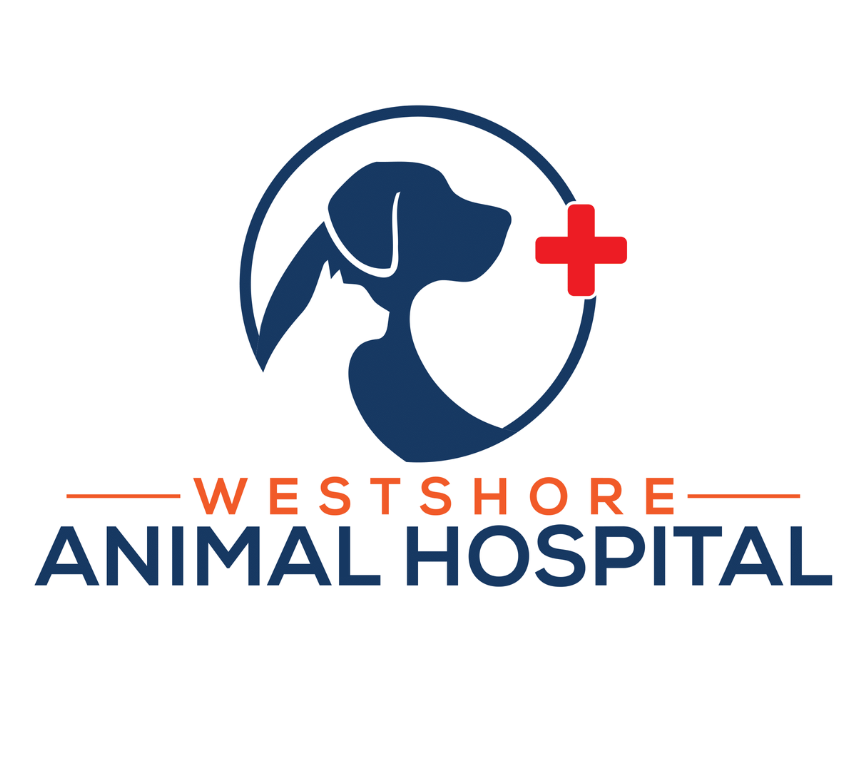 Westshore Animal Hospital