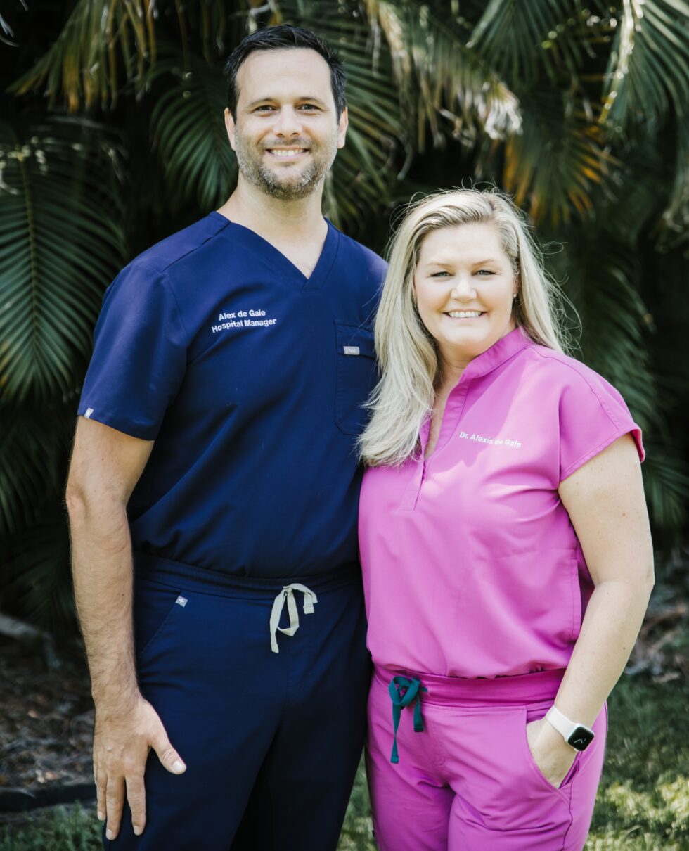 About Westshore Animal Hospital Vet In Tampa, FL 33629