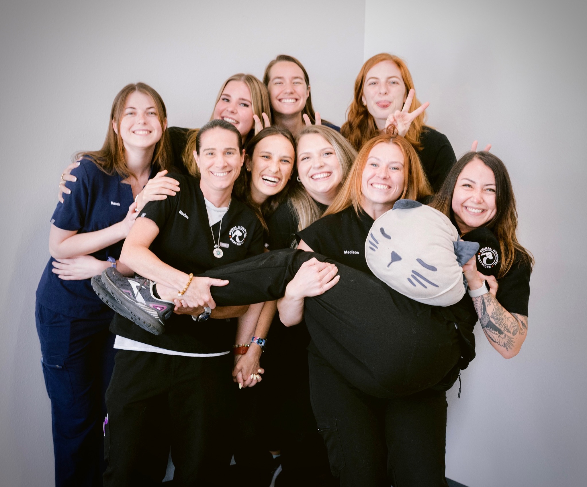Westshore Animal Clinic